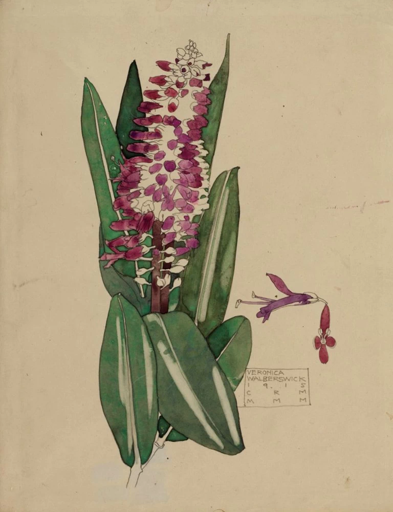 Veronica. Walberswick, 1915